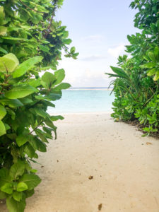 Maldives 101 - beach