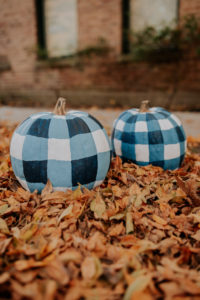 Gingham Pumpkins, Kelly In The City