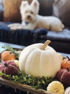 Affordable Fall Decor, fall coffee table, white pumpkin decorations, 