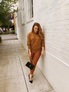 brown leather leggings, affordable leather pants, H&M sweaters, H&m fall sweaters, brown turtleneck, sweaters and dogs, fall style dogs, best fall sweaters, affordable fall sweaters