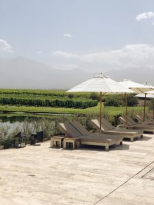 Argentina Travel Guide, two weeks in argentina, mendoza travel guide, mendoza wineries, alpasion lodge, where to stay in mendoza, uco valley, uco valley hotels, andeluna mendoza, best mendoza wineries, blend your own wine mendoza, the vines, lunch at the vines, siete fuegos