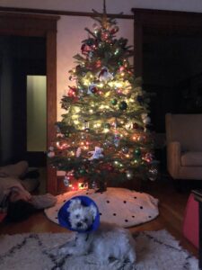 decorated christmas tree, holiday bingo, holiday activities list