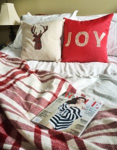 DIY Holiday Throw Pillow