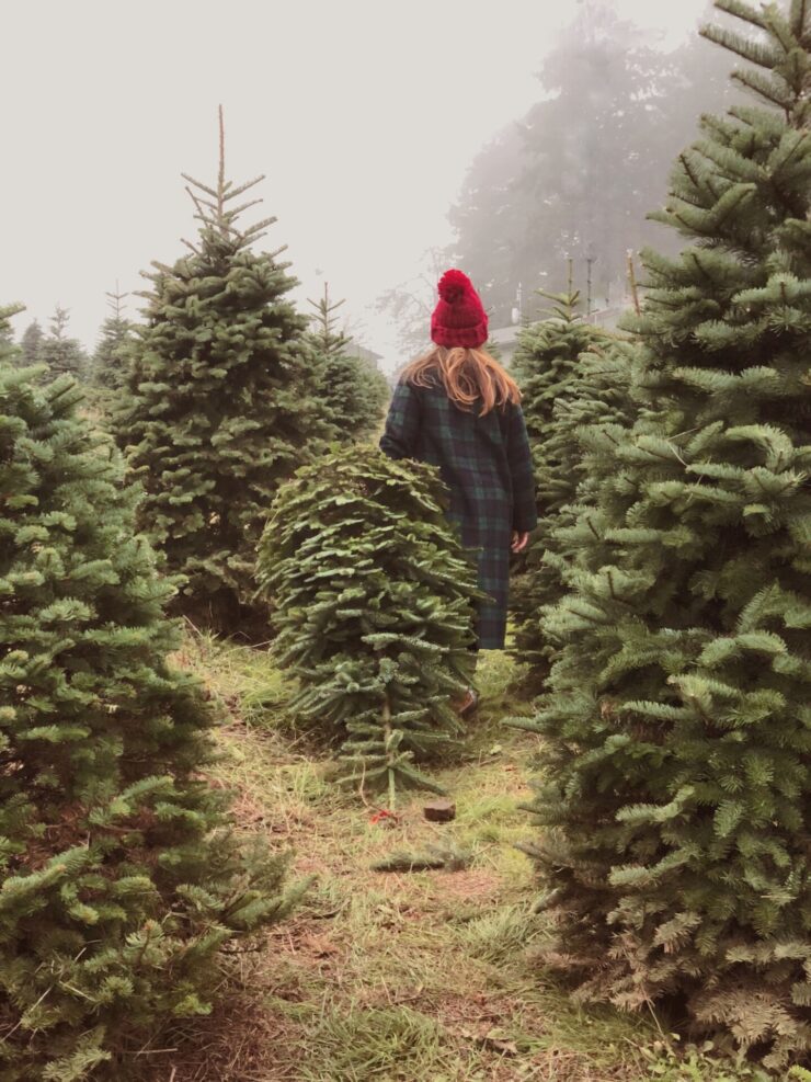 U-Cut Christmas Trees Oregon